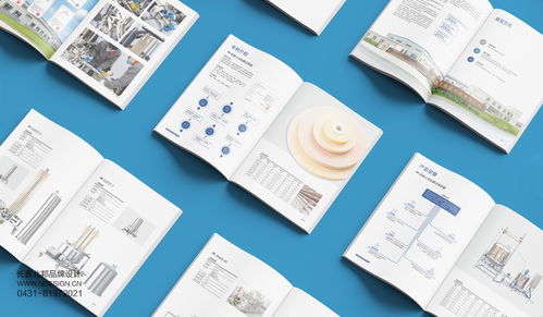 吉林硅寶科技公司企業(yè)宣傳冊設計案例解析——北邦設計的技術(shù)推廣服務實踐